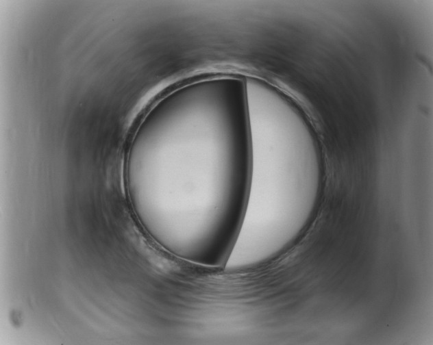 X0000099531272200805160716
