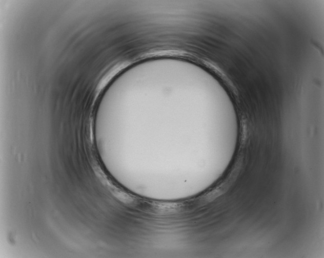 X0000099531274200805160716