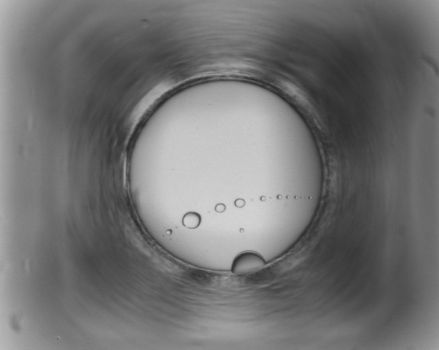 X0000099531275200805160716