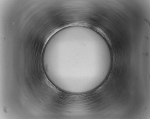 X0000099531276200805160716