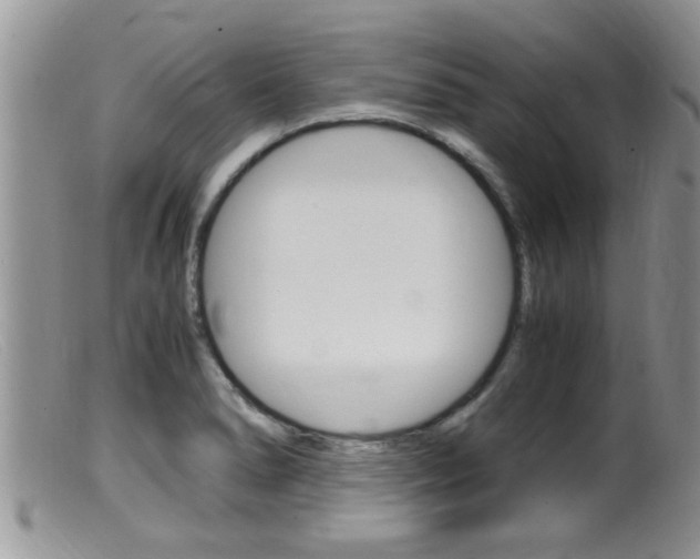 X0000099531278200805160716