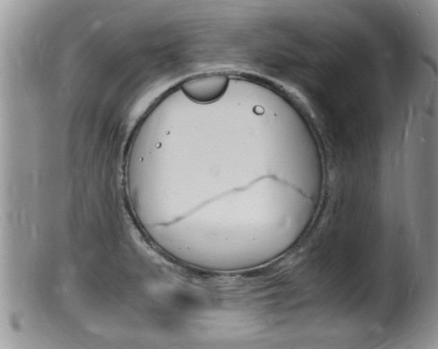 X0000099531279200805160716