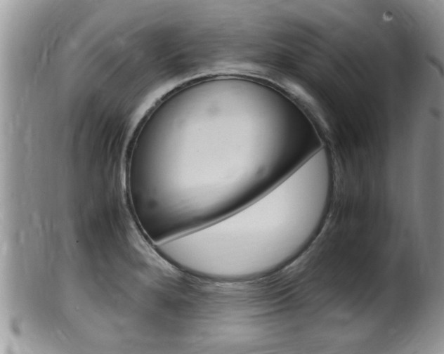 X0000099531280200805160716