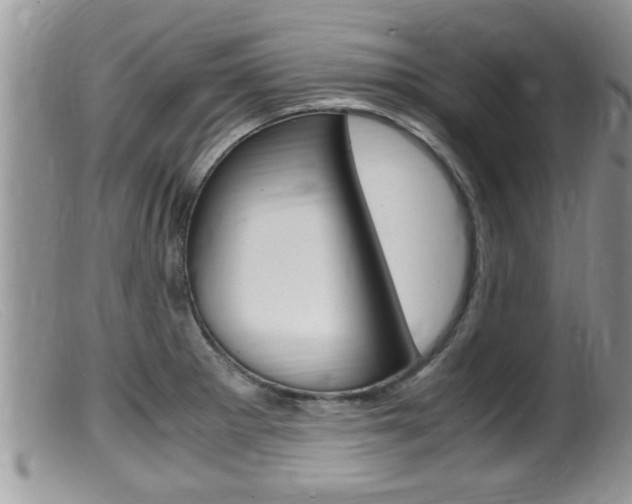 X0000099531281200805160716