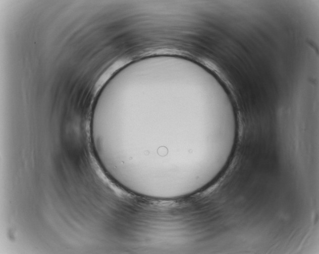 X0000099531282200805160716