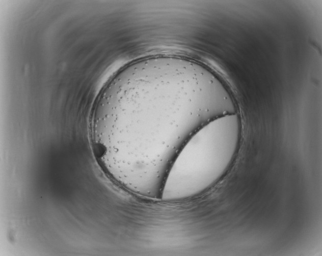 X0000099531283200805160716