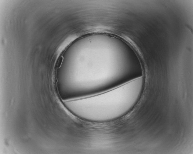 X0000099531285200805160716