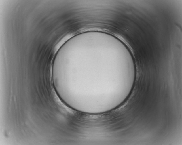 X0000099531290200805160716