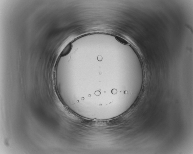 X0000099531291200805160716