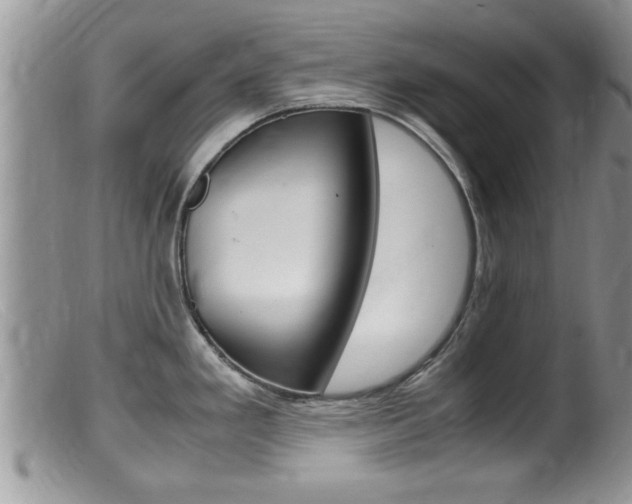 X0000099531293200805160716