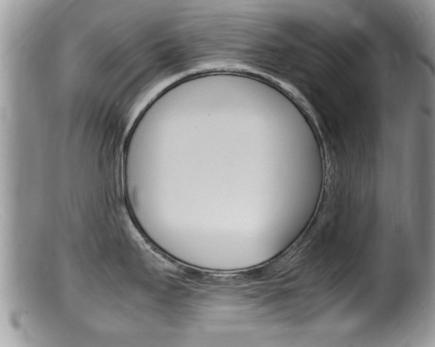 X0000099531295200805160716