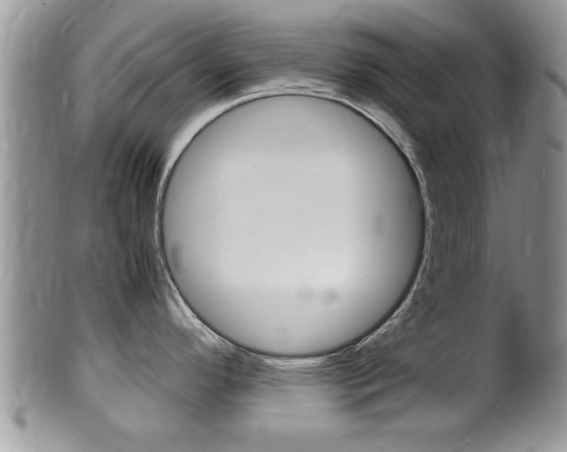 X0000099531296200805160716