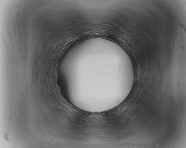 X0000099531297200805160715