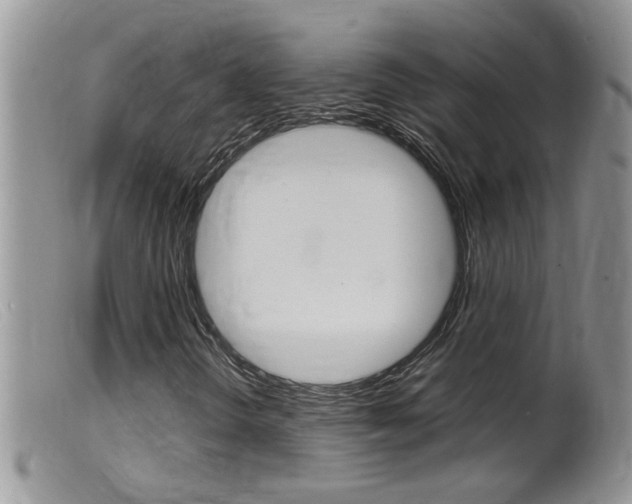 X0000099531298200805160715