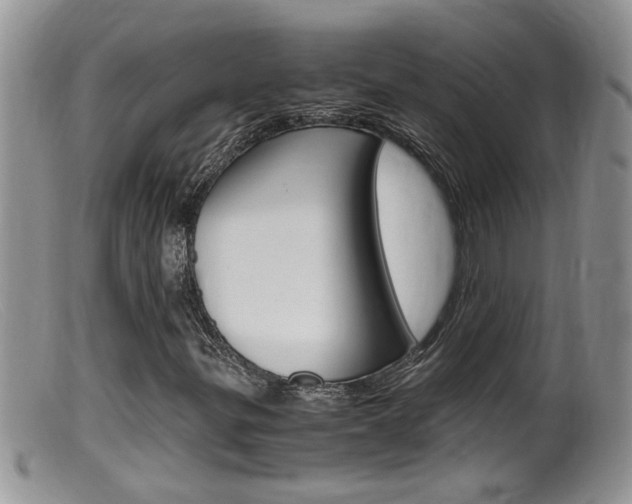 X0000099531299200805160715