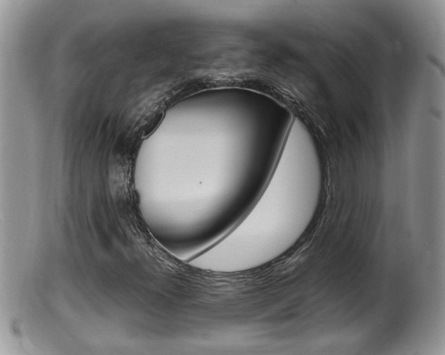 X0000099531300200805160715