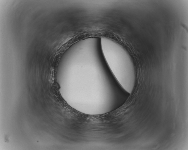 X0000099531301200805160715