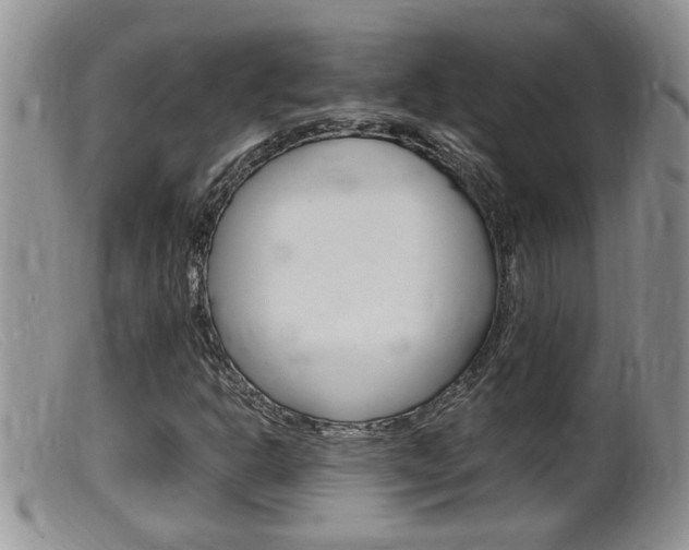X0000099531302200805160715