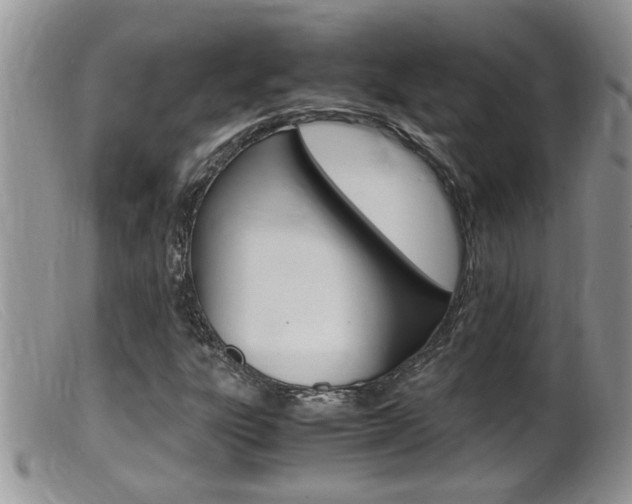X0000099531303200805160715