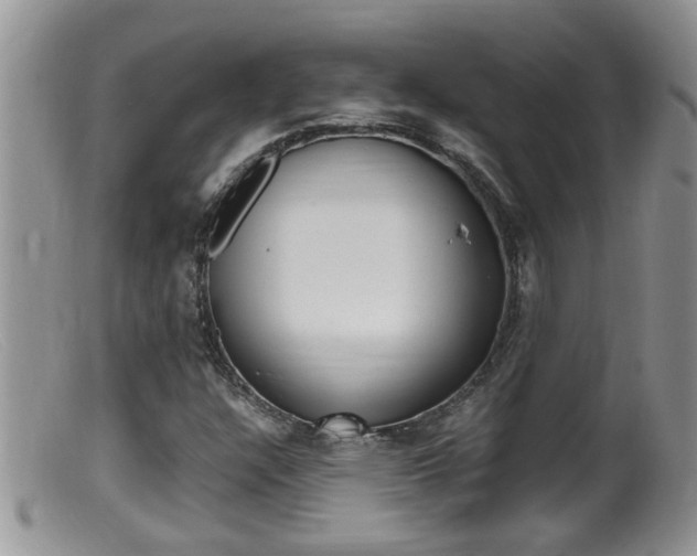 X0000099531304200805160715