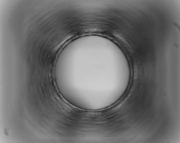 X0000099531305200805160715