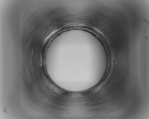 X0000099531306200805160715