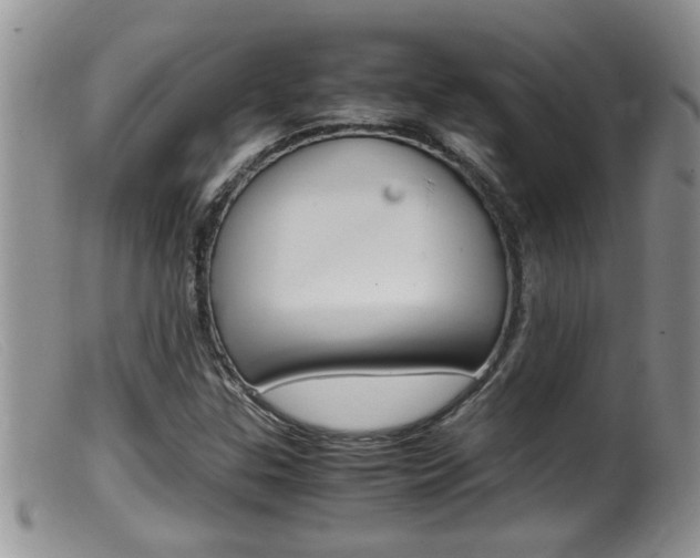X0000099531307200805160715