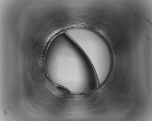 X0000099531308200805160715