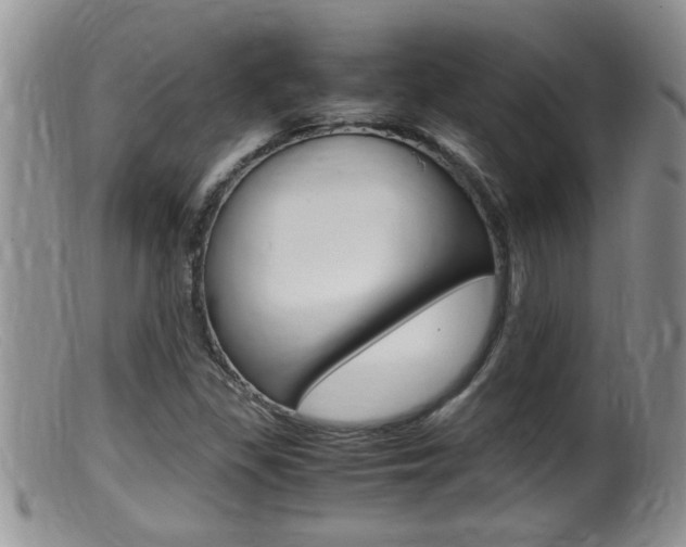 X0000099531309200805160715