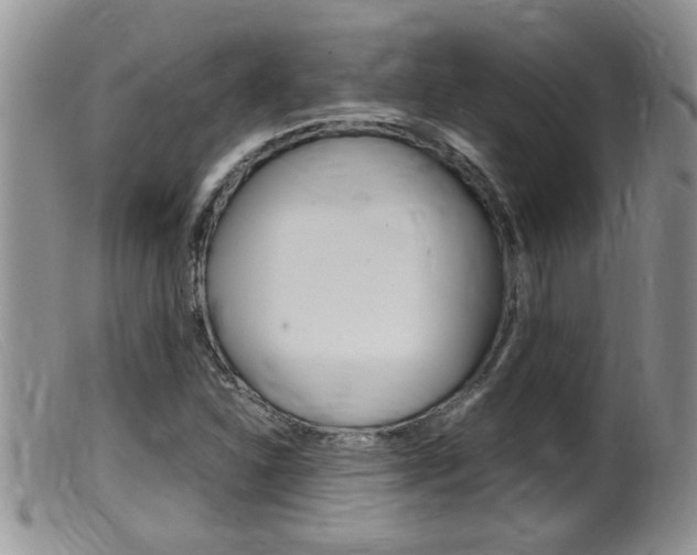X0000099531310200805160715