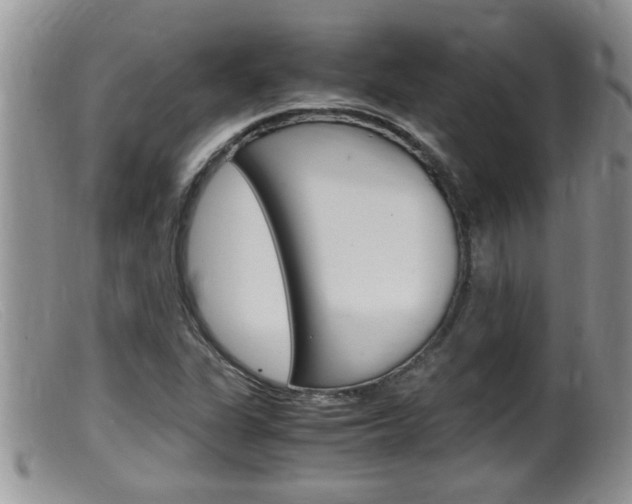 X0000099531311200805160715