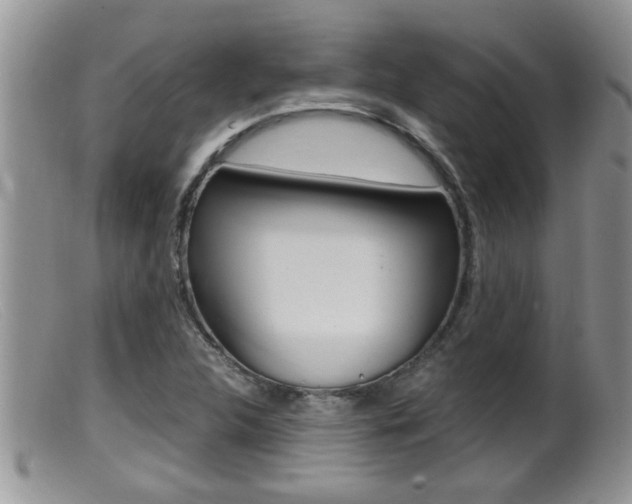 X0000099531312200805160715