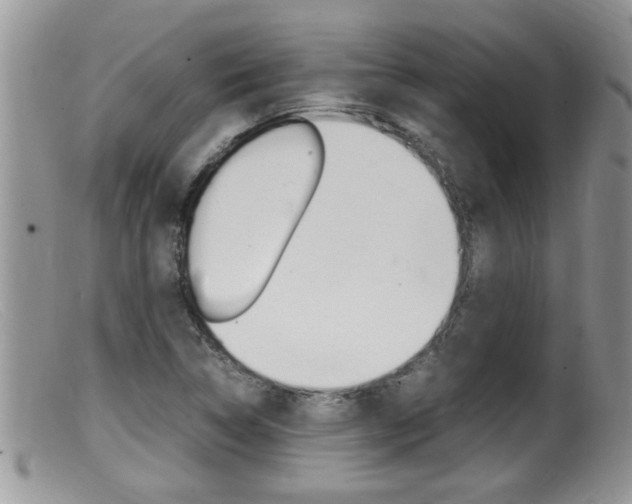 X0000099531314200805160716