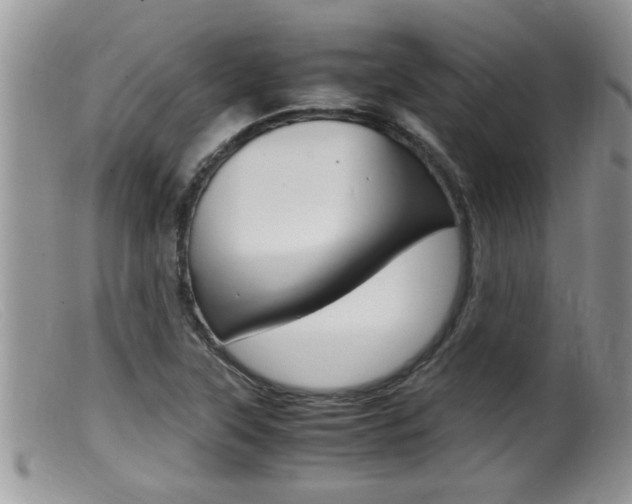 X0000099531315200805160716