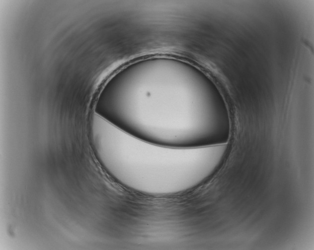 X0000099531316200805160716