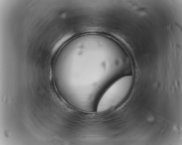 X0000099531317200805160716
