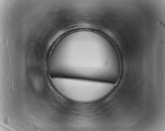 X0000099531318200805160716