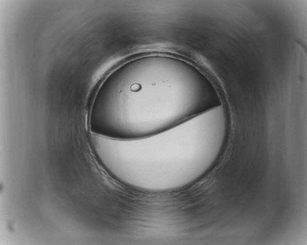 X0000099531320200805160716