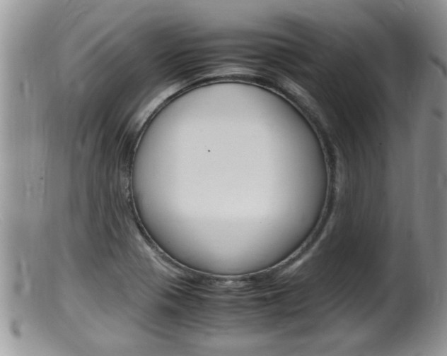 X0000099531321200805160716
