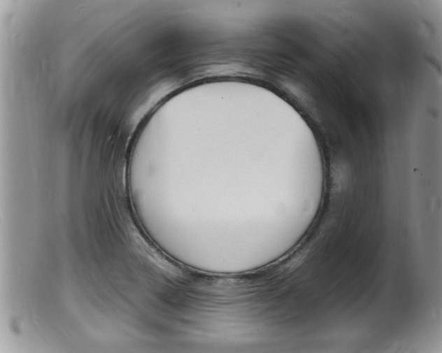 X0000099531322200805160716