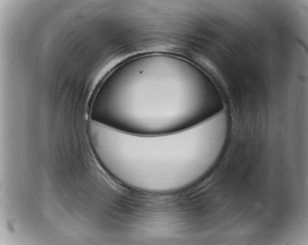 X0000099531324200805160716