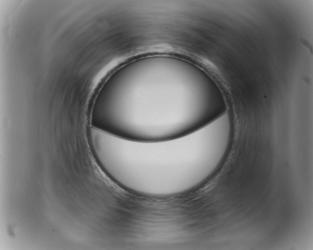 X0000099531326200805160716