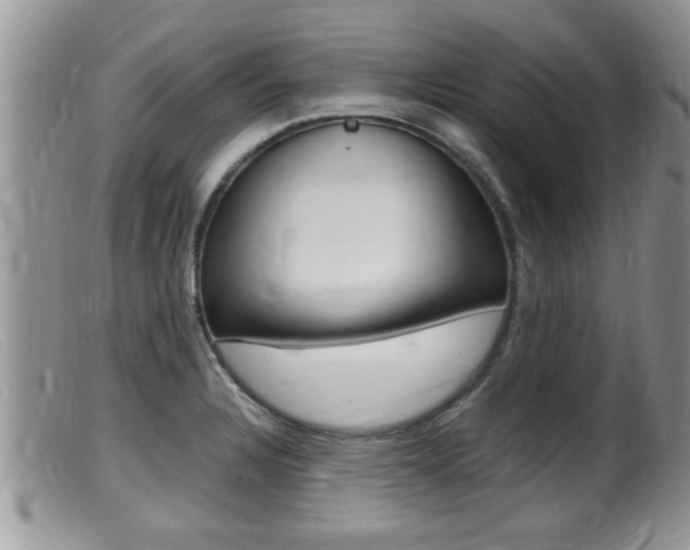 X0000099531328200805160716