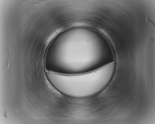 X0000099531330200805160716