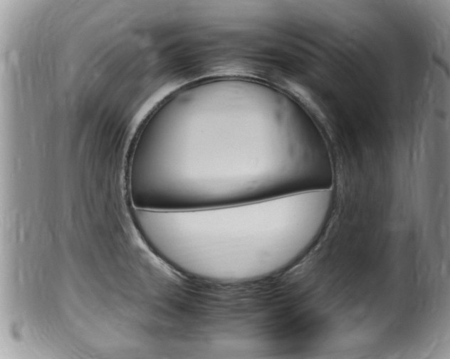X0000099531331200805160716