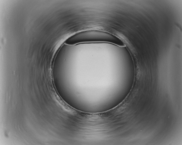 X0000099531332200805160716