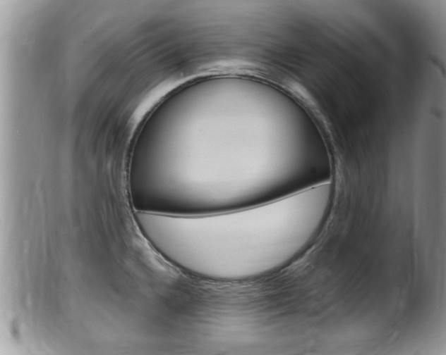 X0000099531336200805160716