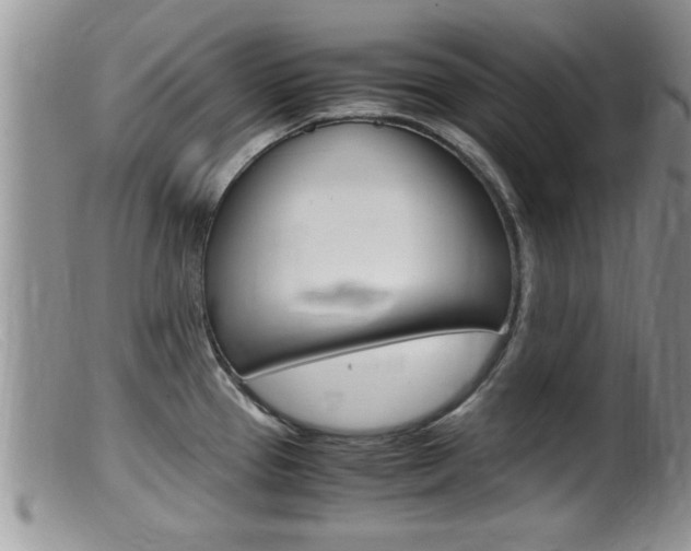 X0000099531337200805160716
