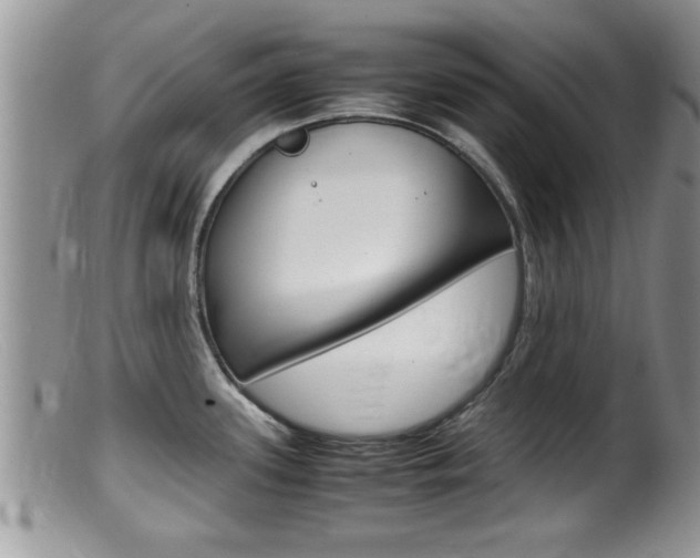 X0000099531339200805160716
