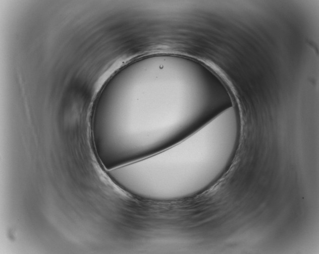 X0000099531341200805160716